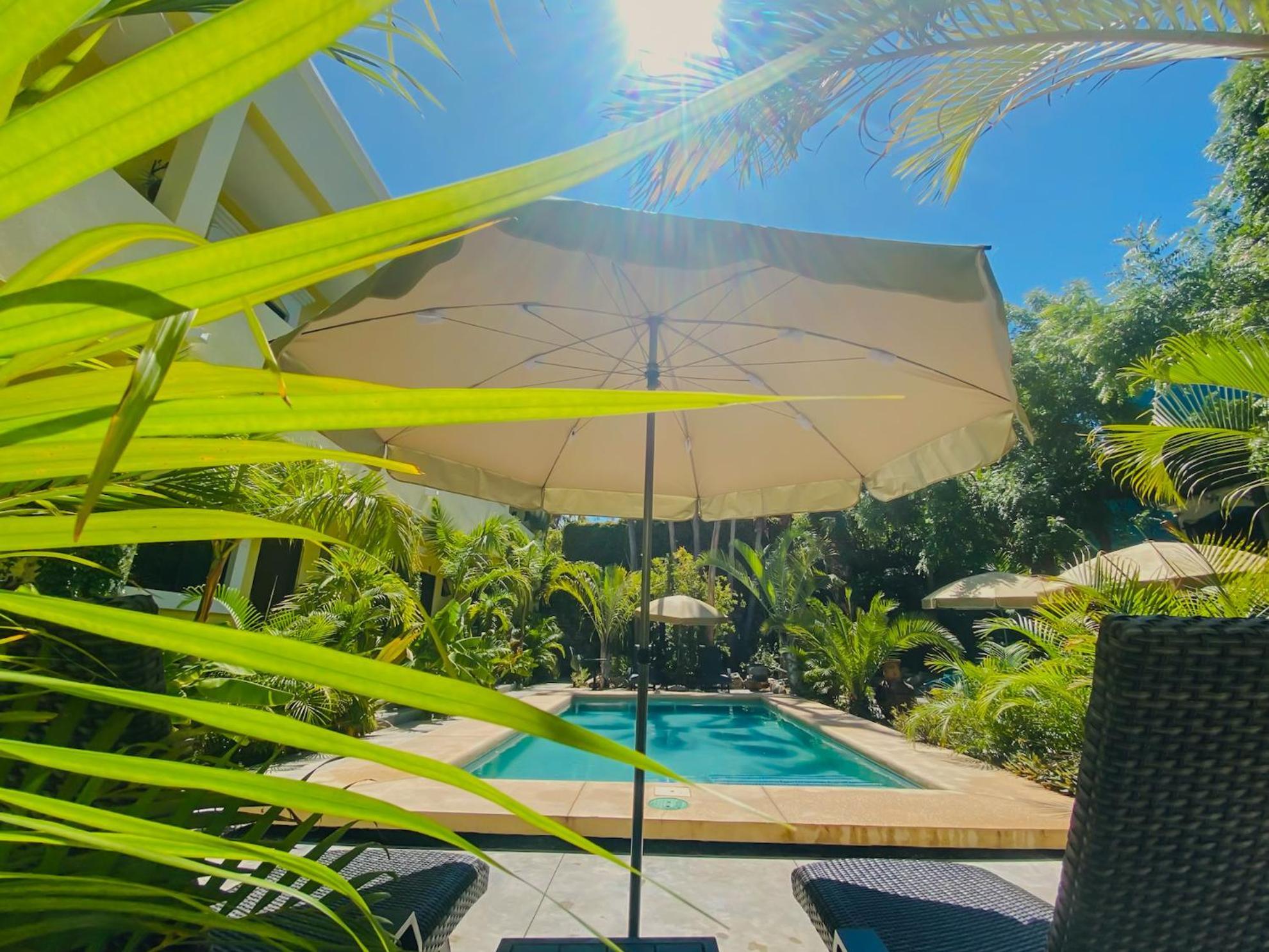 Gallo Azul Hotel, En El Corazon De Todos Santos Ngoại thất bức ảnh