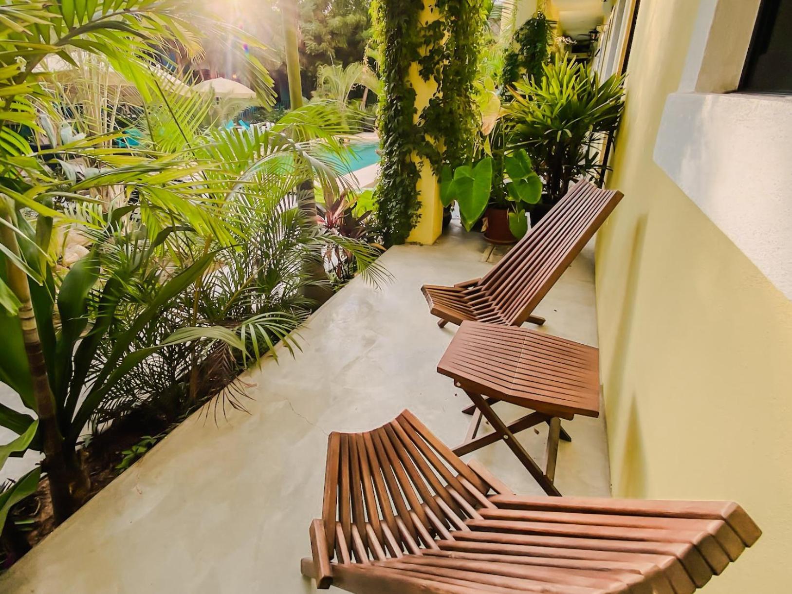 Gallo Azul Hotel, En El Corazon De Todos Santos Ngoại thất bức ảnh