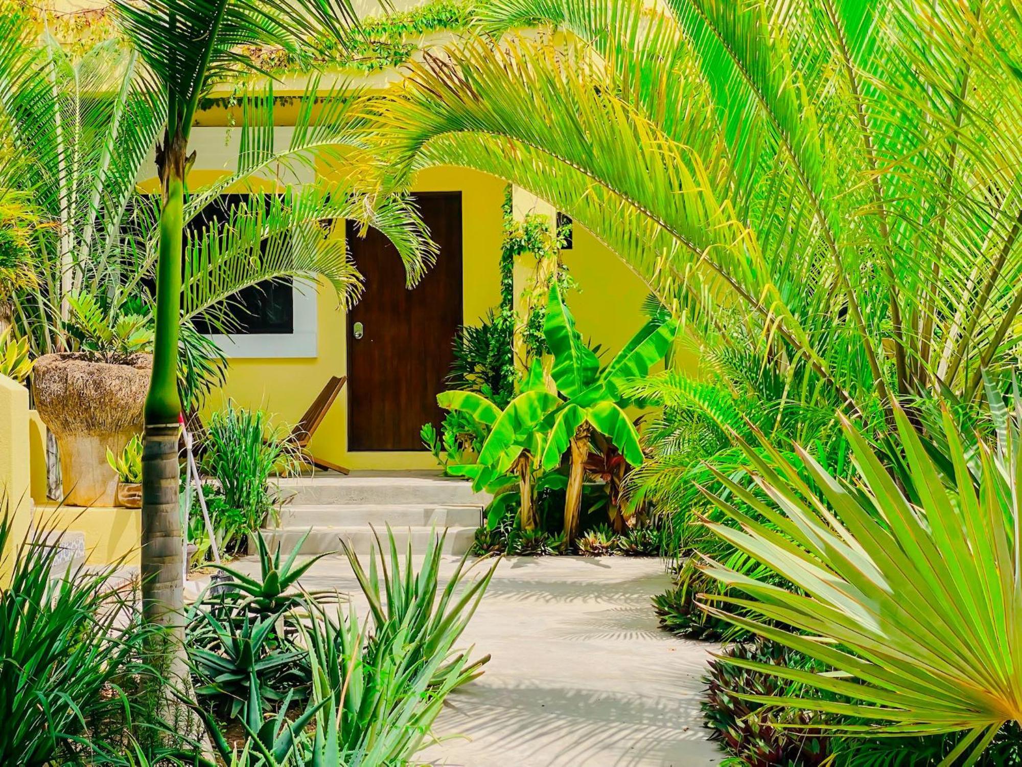 Gallo Azul Hotel, En El Corazon De Todos Santos Ngoại thất bức ảnh