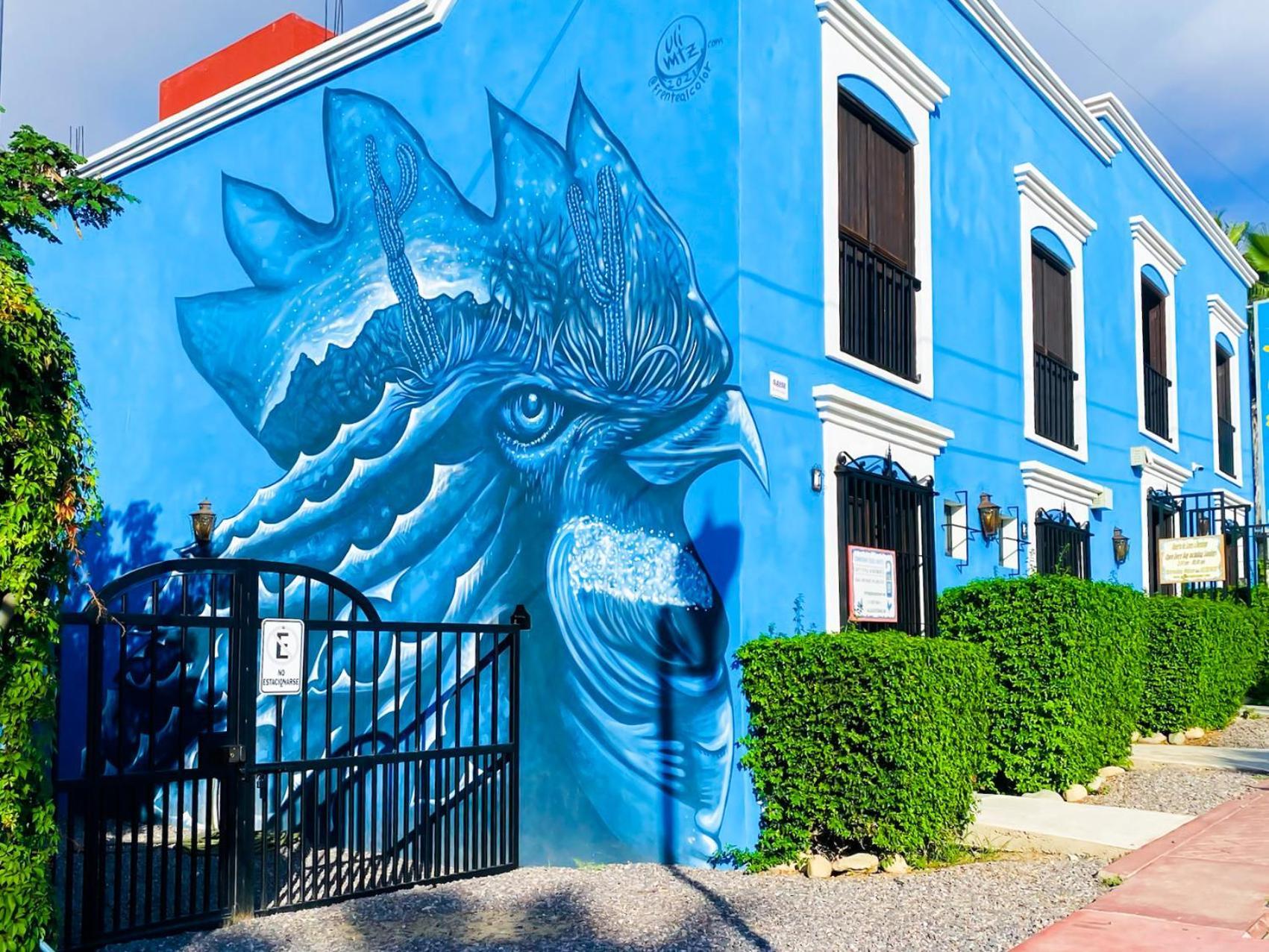 Gallo Azul Hotel, En El Corazon De Todos Santos Ngoại thất bức ảnh