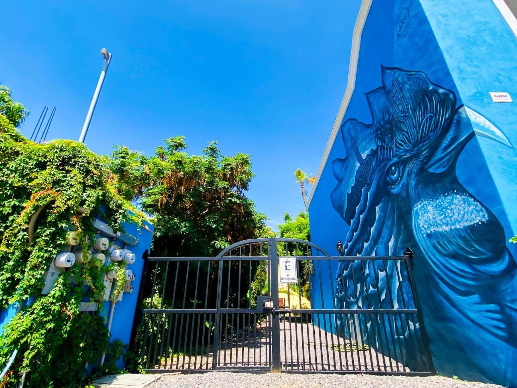 Gallo Azul Hotel, En El Corazon De Todos Santos Ngoại thất bức ảnh