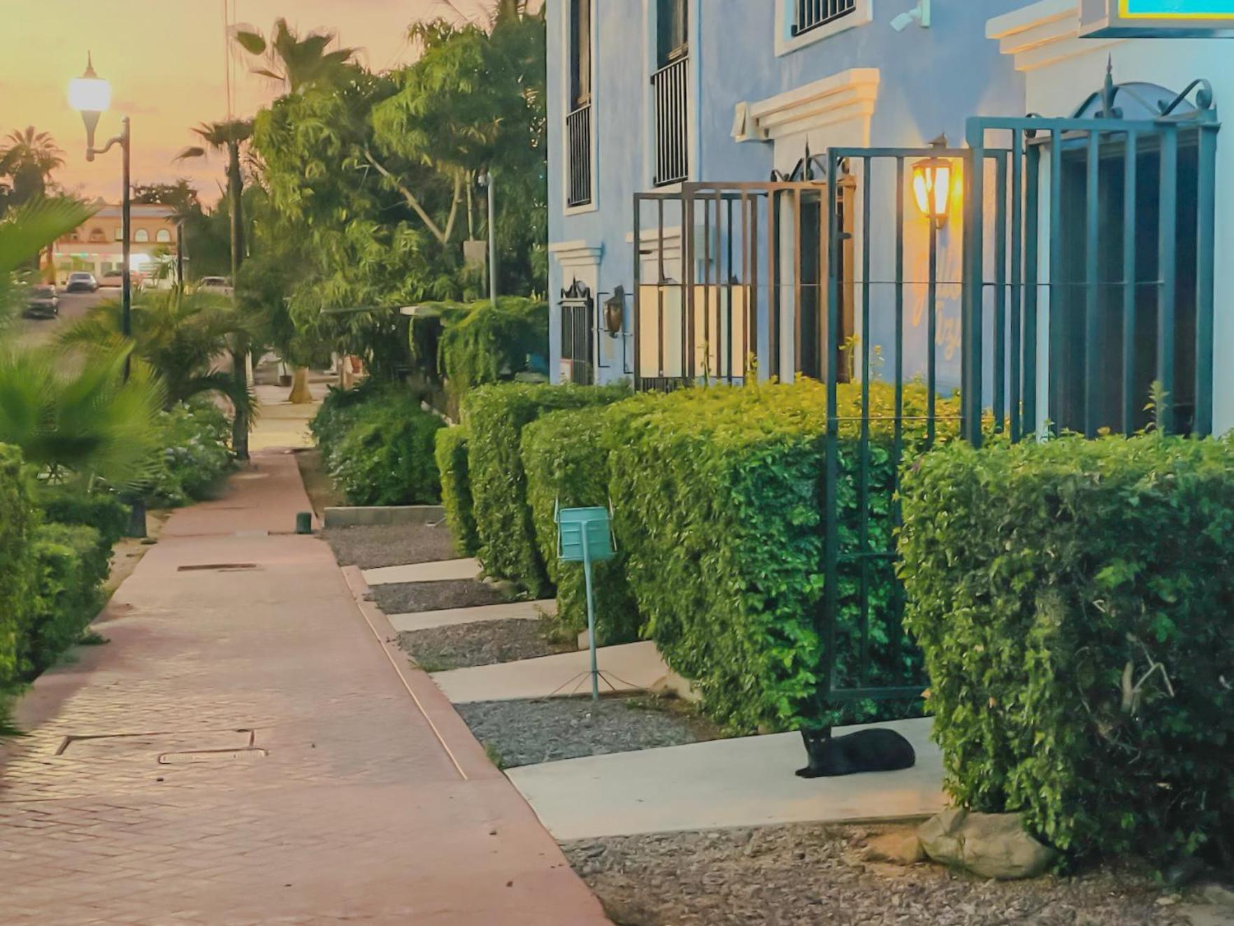 Gallo Azul Hotel, En El Corazon De Todos Santos Ngoại thất bức ảnh