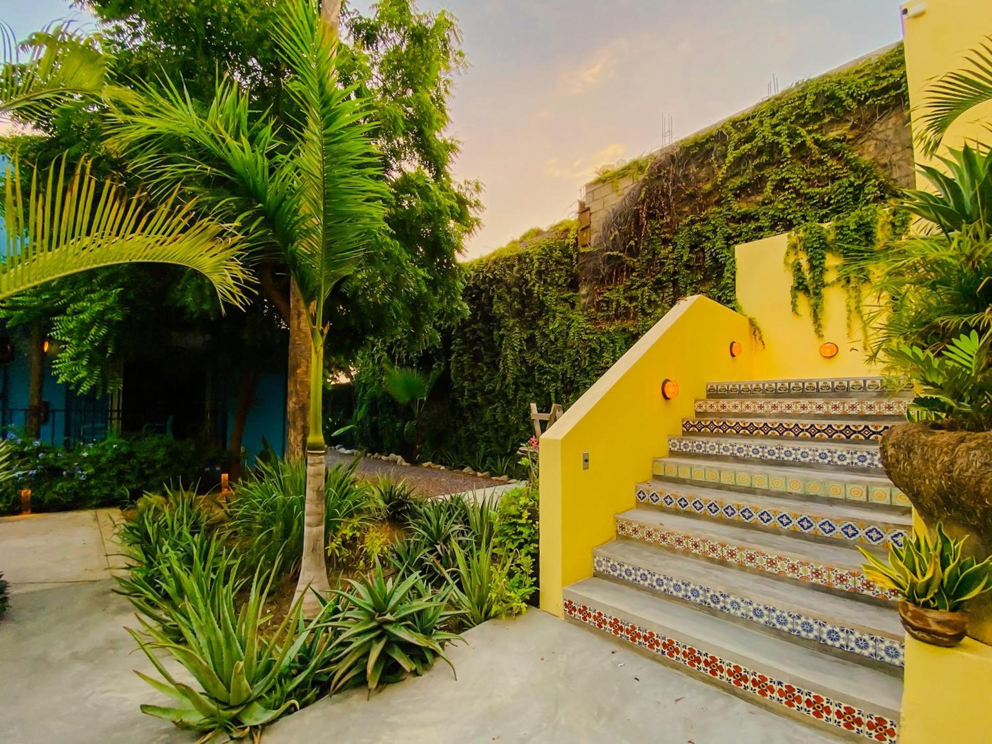 Gallo Azul Hotel, En El Corazon De Todos Santos Ngoại thất bức ảnh